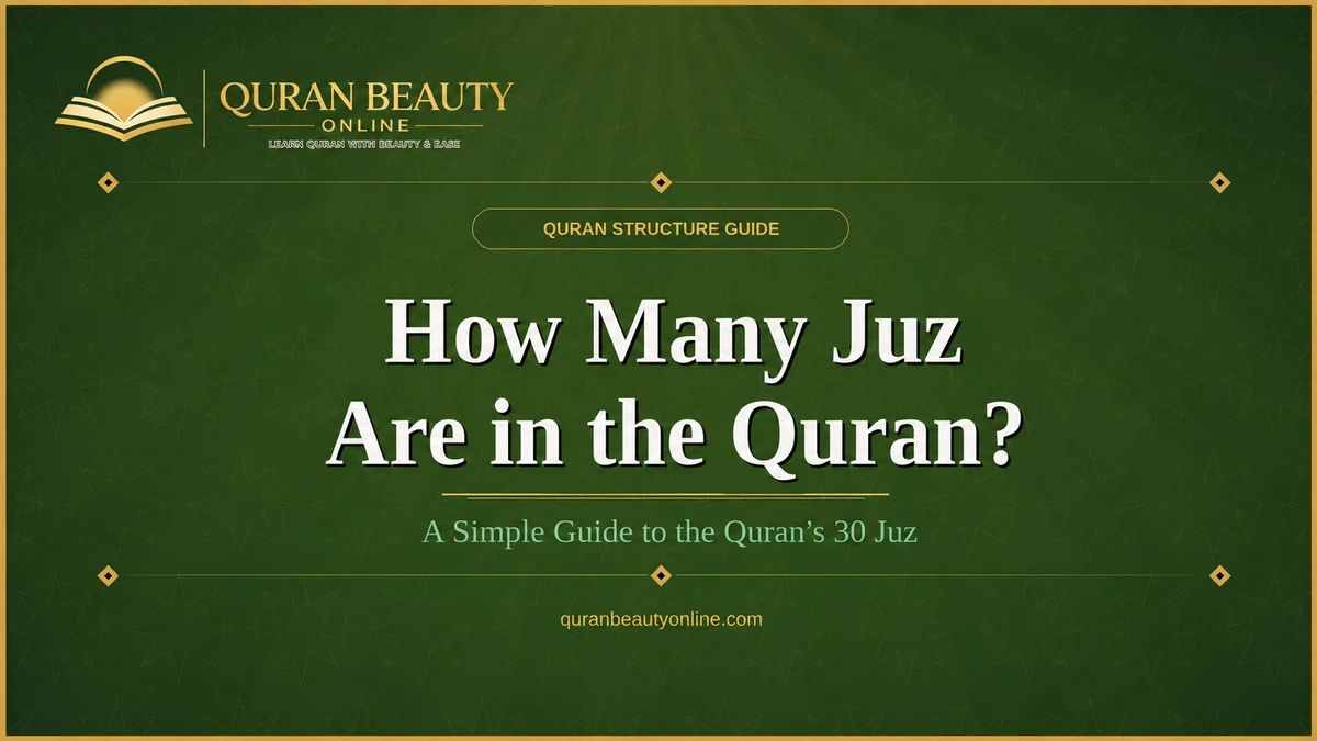 how many juz are in the quran