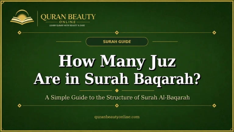 Guide to the number of Juz in Surah Baqarah for Quran study.