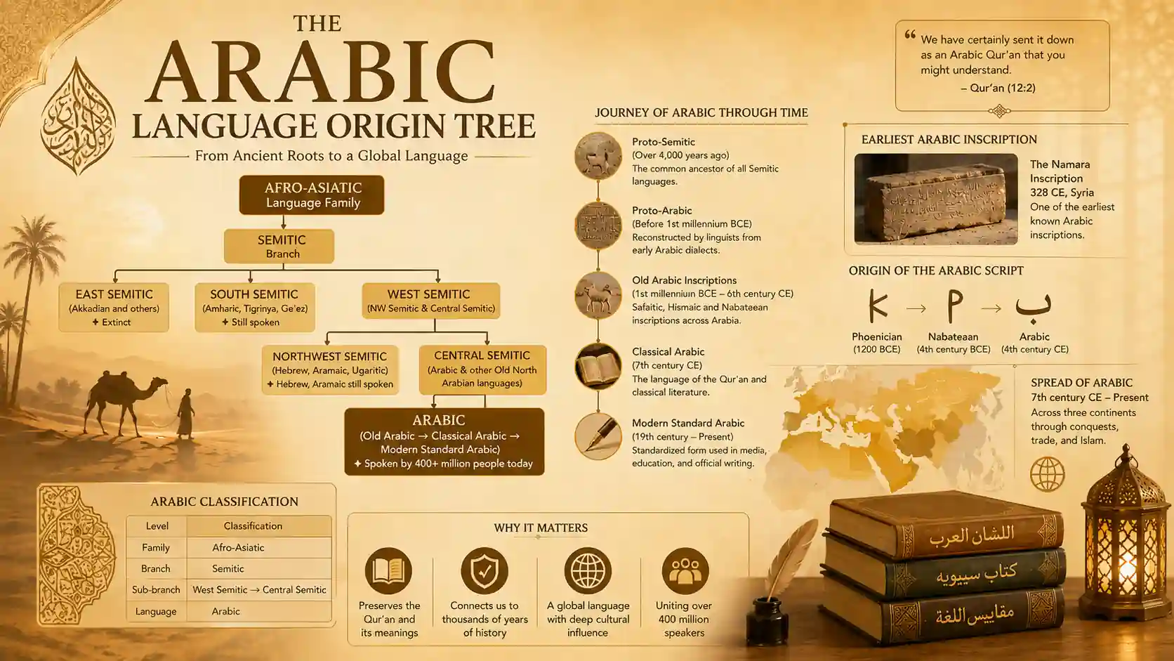 Arabic language origin tree